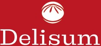delsum-landing.pages.dev favicon